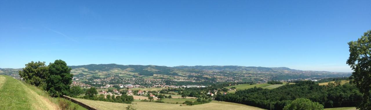 Domaine De La Barolliere Hotel Saint-Paul-en-Jarez Buitenkant foto